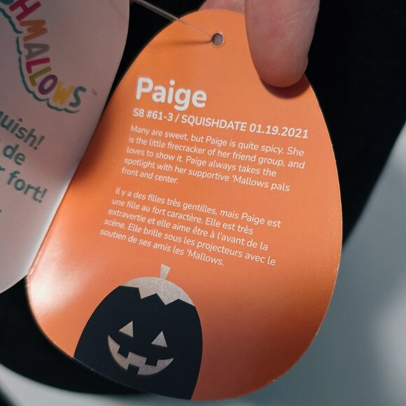 SQUISHMALLOW Paige the Pumpkin 8" - Picture 4 of 4